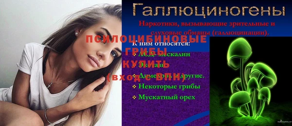 a pvp Алексин