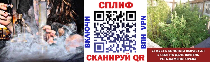 МЕГА как зайти  Аша  Бошки марихуана индика 